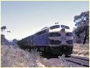 S304,Ararat