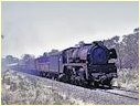 R735,Ararat
