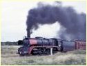 R769,Hoddle