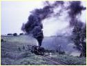R769,Hoddle