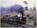 R769,Koonwarra