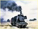 J517,Redan