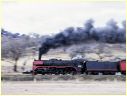R749,Winton