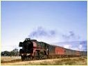 R749,Elmore