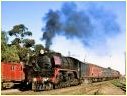 R749,Echuca