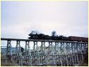 J519,K176,Newtown