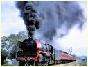 R749,Euroa