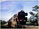R749,Avenal