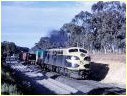 S312,Avenal