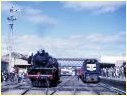 R704,X36,Bendigo