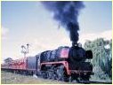 R704,Eaglehawk