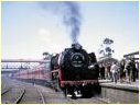 R704,Bendigo