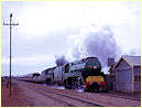 3801,3813,Yunta