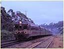 903,DRC,Tickhole,Kotara
