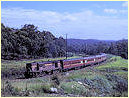 4514,Fassifern