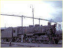 5919,Broadmeadow