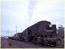 6008,Thornton