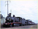 5390,3237,Dubbo,Orange