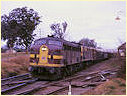4457,Douglas Park