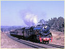 3820,Wanervale