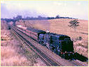 6039,Musselbrook