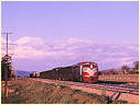 GM31,Barnawatha