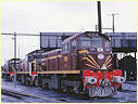 7339,Broadmeadow