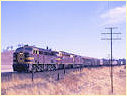4443,Cootamundra