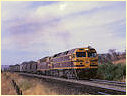 42211,Cootamundra
