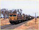 42205,The Rock