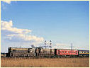 T331,T402,Wallan