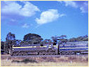 X33,Heathcote Junction