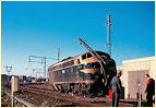 S308,Sunshine