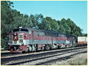 902,900,950,North Adelaide