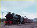 W934,Pichie Richie