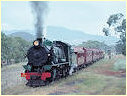 W934,Pichie Richie