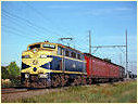L1170,Westall