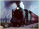 K190,Cranbourne,Lyndhurst