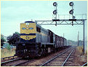 X37,Wodonga