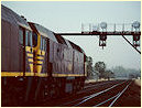 42201,42217,Albury