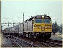 42201,Albury