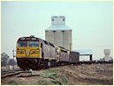 42204,4204,Yerong Creek