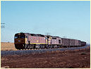 42206,421,Shepherds,Harefield