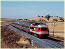 XPT,Junee,Harefield