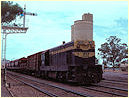 T323,Numurkah