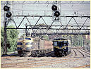 B66,Harris,EMU,North Melbourne