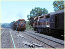 L252,L253,Tallarook