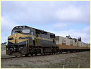 C502,Beaufort
