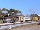 959,North Adelaide
