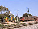 841,Red Hen,North Adelaide